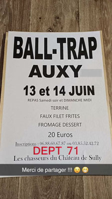 Les chasseurs du Château de Sully