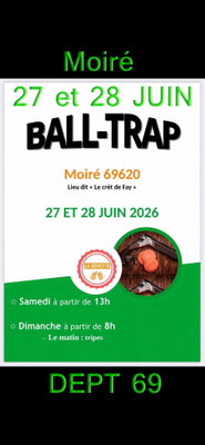 Ball-Trap Moiré